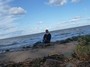 Betsy at the Gulf of Finland